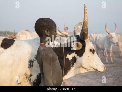 Portrait d'un garçon de la tribu Mundari dans un camp de bétail, Equatoria central, Terekeka, Soudan du Sud Banque D'Images