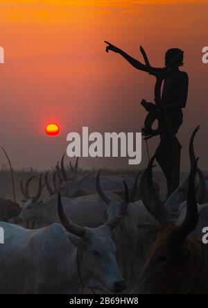 Un garçon de la tribu Mundari debout sur un mât en bois pour observer ses vaches au coucher du soleil, Equatoria central, Terekeka, Soudan du Sud Banque D'Images