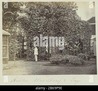 Derrière Woodbury & Page (titre objet) Homme debout dans un jardin avec une pergola couverte de lierre ou un aviaire derrière le studio de Woodbury & Page à Rijswijk à Batavia. Partie de l'album photo vert avec des photos de Java, de la tenue de pharmacien Specht-Grab, qui en 1865 de Batavia aux Pays-Bas terugkeerde. Fabricant : Photographe: Woodbury & Page Lieu de fabrication: Batavia Dating: 1863 - 1869 Caractéristiques physiques: Albumen imprimé sur du papier photographique sur du carton album matériau: Papier technique: Albumen dimensions imprimées: H 102 mm × W 131 mm Sujet: Studio  photographe quand: 1860 - 1869 Banque D'Images