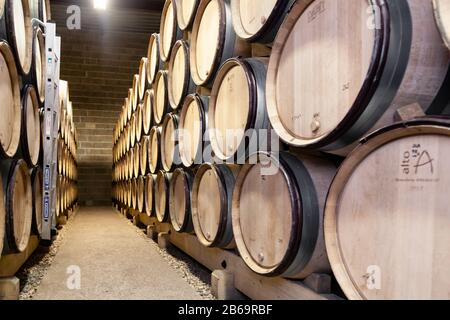 France Bourgogne 2019-06-20 chêne de bois barrique empilé dans une cave ancienne. Concept brasserie fond, dégustation professionnelle, amoureux du vin, ainsi Banque D'Images