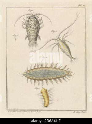 Agate slater, copépodes et créatures de vers à poils. Les figures 1 et 2 montrent un bug de sow d'agate pleine taille et agrandi. La figure 3 illustre un copépode. La figure 4 montre un ver à brosse et la figure 5 montre la larve d'un ver à brosse. Droite : Pl. 17. Imprimez un livre sur le pays et l'eau du pays et de l'étranger. Fabricant : Print Maker: Robbert Muys (indiqué sur l'objet) au dessin de: Martinus BIB (indiqué sur l'objet) au dessin de: P. Snijders (indiqué sur l'objet) lieu de fabrication: Rotterdam Date: 1778 Caractéristiques physiques: Gravure, avec la main colorée en jaune, bleu, gris et brun matériel: Banque D'Images