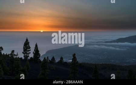 Vue vers l'ouest depuis Llano del Jable au coucher du soleil sur la forêt de pins canariens et le paysage volcanique jeune, la Palma, îles Canaries Banque D'Images