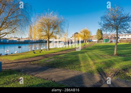 La rivière Nene en crue dans le centre de Peterborough, Cambridgeshire, en janvier 2020 Banque D'Images