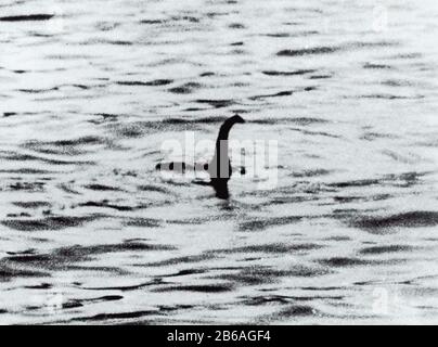 Loch NESS MONSTER la soi-disant 'photo de l'esturgeon' prise par le gynécologue Robert Wilson (fait en fait d'un sous-marin jouet) a d'abord publié dans le Daily Mail en 1934 Banque D'Images