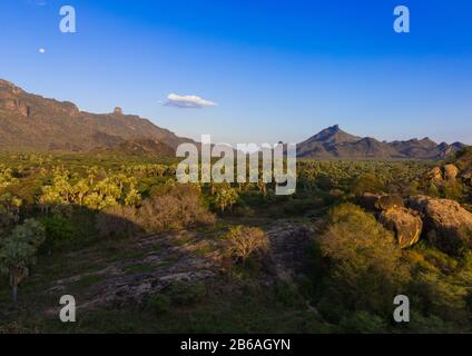 Oasis devant les montagnes de la Boya, les montagnes de la Boya, Imatong, Soudan du Sud Banque D'Images