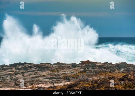 Une énorme vague s'écrasant contre les rochers à L'Embouchure De La rivière Des Tempêtes, parc national de Tsitsikamma, Afrique du Sud Banque D'Images