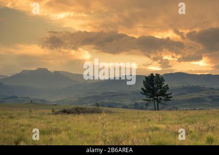 Vue panoramique sur la montagne du château de Champagne et les collines environnantes dans des tons de bleu avec un avant-plan herbeux et un coucher de soleil jaune dans le centre de Drakensberg, ne Banque D'Images