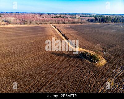 aiew aérien de la drone à un champ agricole cultivé et arbres solitaires sur une journée ensoleillée de printemps Banque D'Images