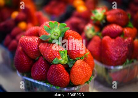 Les fraises fraîches se rapprochés du marché des fruits de Prague Banque D'Images