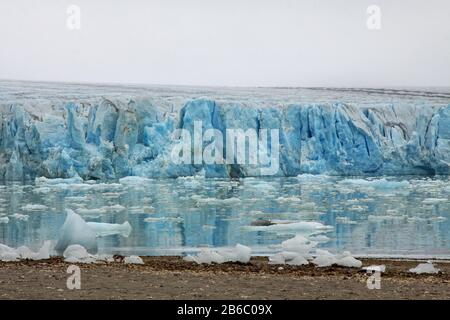 14 Juillet Glacier, Svalbard, Norvège Banque D'Images