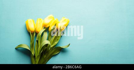 Tulipes jaunes sur fond bleu en bois, bouquet de fleurs, bannière horizontale, espace de copie Banque D'Images