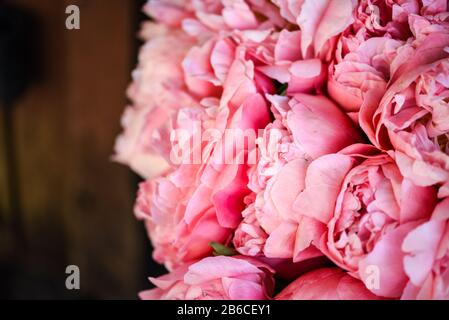de belles pivoines roses naturelles se rapprochés Banque D'Images
