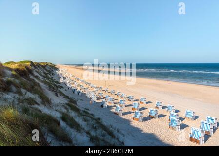 Paysage d'été avec plage sur l'île éloignée de Sylt, en mer du Nord, Allemagne. Chaises en osier alignées sur la plage. Banque D'Images