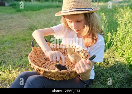 Portrait d'une fille enfant tenant des poussins nouveau-nés dans le panier Banque D'Images