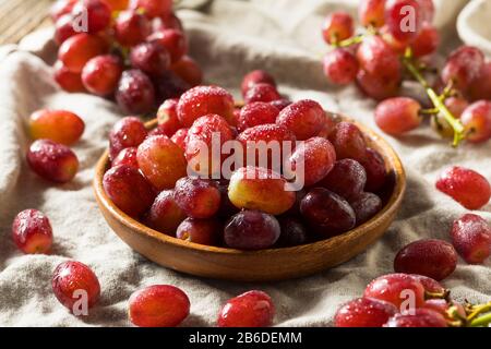 Raisins rouges biologiques crus dans un bol prêt À Manger Banque D'Images