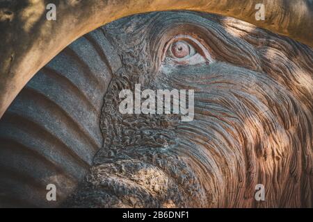 Détail visage d'une statue de mammouth sous la lumière de l'après-midi Banque D'Images