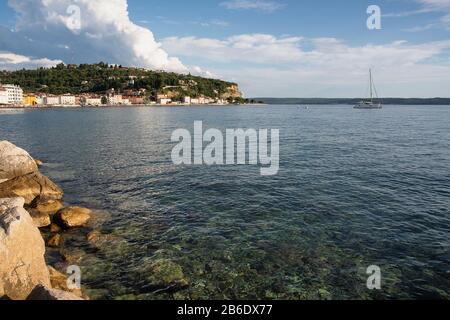 Eau transparente et propre de la ville historique de Piran, mer adriatique, Slovénie Banque D'Images