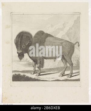 Bizon Bison Property Type: Photo Numéro d'article: RP-P-BI 4797 Inscriptions / marques: Marque du collectionneur, verso en bas à gauche, estampillé: Lugt 240 Fabricant: Printmaker: Anonyme, conçu par Gerrit van den Heuvel (possible) Daté: 1735 - 1859 Caractéristiques physiques: Matière de gravure: Papier technique: Dimensions de gravure: Bord: Bord: H 176 mm × W 179 mm Objet : bisons d'animaux à accrochage Banque D'Images