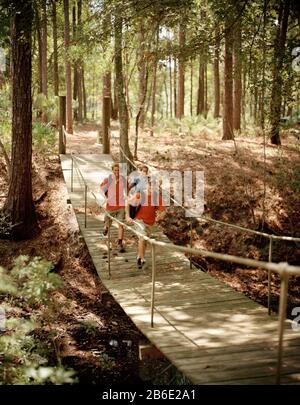 Trois amis traversant un pont dans les bois. Banque D'Images