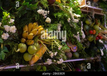Divers types de fruits tropicaux sont placés de diverses façons. Banque D'Images