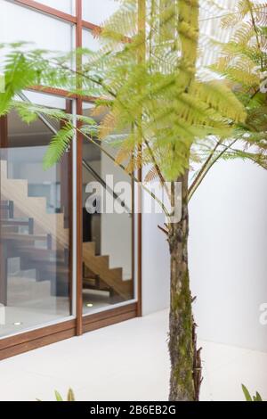 Fenêtres en verre avec escaliers en bois dans une maison moderne à l'architecture. Banque D'Images