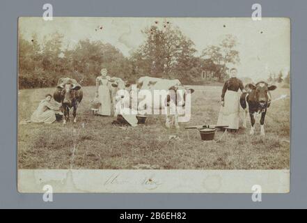 Femmes agriculteurs traite des vaches dans un pâturage femmes agriculteurs traite des vaches dans un pré type d'objet: Carte postale photo Numéro d'article: RP-F F21205 Inscriptions / marques: Inscription, recto, manuscrit: «votre [...] 'inscription verso, manuscrit:' Le Jeune Seigneur John Jansen Kwartelstraat 64. Utrecht.' Fabricant : Photographe: Fabrication anonyme de lieux: Pays-Bas Date: 1903 matériel: Technique du papier: Daglichtcollodiumzilverdruk Dimensions: Photo: H 88 mm × W 137 mm Objet: Milkingprofessions  cattlefarers - AA - agriculteur féminin, femme de l'agriculteur approvisionnement et juridique Banque D'Images