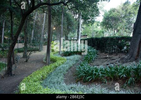 Herbes vertes plantées dans des formes incurvées à l'intérieur du parc sunken de Mexico Banque D'Images