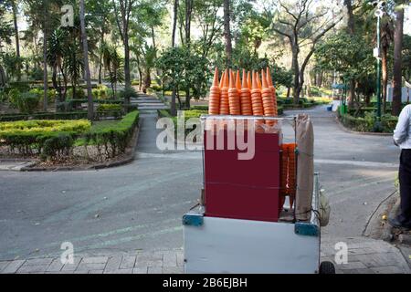 Parc en contrebas dans la ville de Mexico où vous pouvez voir un chariot urbain de récolte de raisin avec des cônes de crème glacée Banque D'Images