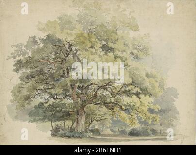 Boomstue Tree Study Type d'objet: Dessin aquarelle Numéro d'article: RP-T 1919-17 Fabricant : artiste George Andries Roth Date: 1819 - 1887 Caractéristiques physiques: Crayon, pinceau dans les couleurs en aquarelle: Crayon de papier technique aquarelle: Dimensions du pinceau: H 404 mm b × 545 mm Sujet: Arbre Banque D'Images