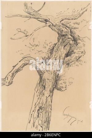 Tree Study to Vogelenzang Boomstudie, te Vogelenzang Type d'objet : tekening Objectnummer: RP-T-1948-194 Fabricant : Rapporteur pour avis: Simon Moulijn Dating: Jun-1925 kenmerken physique: Zwart krijt matériau: Papier krijt Dimensions: H 344 mm × b 236 mm Objet: Arbres Banque D'Images