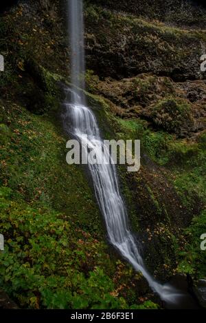 Exposition prolongée d'une cascade au Silver Falls State Park, Silverton, Oregon, États-Unis, en automne, avec des couleurs jaunes et vertes et une grotte Banque D'Images