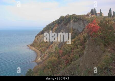 Falaise slovène côte en automne, Mesecev zaliv, falaise de flisch entre le cap Kane et les bassins de sel de Strunjan, baie de Trieste, Slovénie, Europe méditerranéenne Banque D'Images