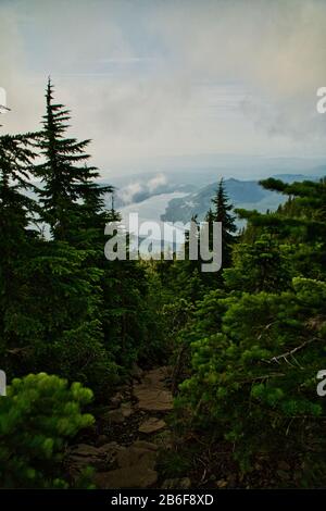 Mt. Ellinor Dans L'État De Washington Banque D'Images