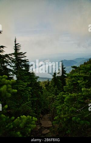 Mt. Ellinor Dans L'État De Washington Banque D'Images