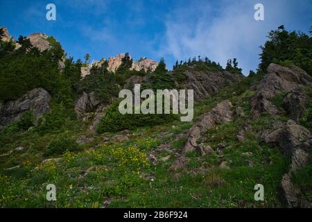 Mt. Ellinor Dans L'État De Washington Banque D'Images