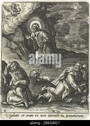 Christ dans le jardin des Oliviers Passion et Résurrection du Christ (titre de la série) Passio et Resvrrectio DN Iesv Christi (titre de la série) Christ prie à Dieu dans le jardin des olives. Pendant ce temps, ses disciples dorment. Apparaît dans les nuages un ange. L'imprimé a une légende latine fabricant: Printmaker: Adriaen Collaertuitgever: Adriaen CollaertPlaats fabrication: Anvers Date: 1570 - 1618 Caractéristiques physiques: Matière automobile: Technique du papier: Engrala (processus d'impression) Dimensions: Feuille: H 86 mm × W 64 mm Objet: Agonie du Christ: Pour le réconforter un ou plusieurs anges appearacné au Christ avec le ch Banque D'Images