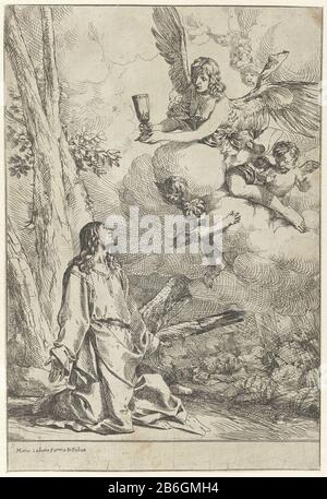 Christ dans la cour de Gethsemane Christ prie Dieu dans le jardin de Gethsemane. Nuage ciel un ange avec une calice. Autour de l'ange planant plus petit putti. Fabricant : printmaker: Giulio Carpioni (I) Editeur: Mateo Cadorin (propriété cotée) Lieu de fabrication: Printmaker: Italie Éditeur: Padoue Date: 1621 - 1674 Caractéristiques physiques: Matière de gravure: Technique du papier: Gravure Dimensions: Feuille: H 320 mm (Face Interne de la plaque) b × 211 mm (lame intérieure coupée.) Sujet: La prière du Christ dans le jardin de Gethsemane pendant la nuit jaune Banque D'Images