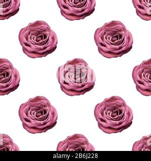 Motif transparent de fleur rose sur fond blanc isolé gros plan, roses bordeaux ornement répété, fleurs rouges imprimé tendance Banque D'Images