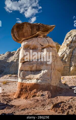 Toadstool Hoodoo, bloc de formation du Dakota sur le piédestal de grès d'Entrada, zone de Rimrock Hoodoos, zone d'étude de la région sauvage de Cockscomb, Utah, États-Unis Banque D'Images