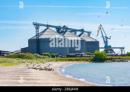 Grands silos d'élévateurs de grain dans le port avec des oiseaux volants et la côte de la mer (Port de Liepaja, Lettonie) Banque D'Images