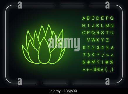 Cactus crache l'icône de lumière néon. Feuilles de vera d'aloès. Herbe médicinale croissante. Ingrédient botanique. Effet brillant extérieur. Signe avec l'alphabet, les chiffres et Illustration de Vecteur