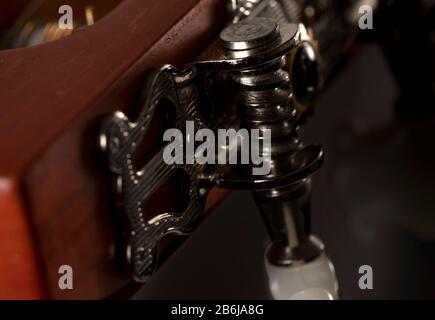 Macro-shot de têtes de machines de guitare acoustique utilisées pour le réglage de cordes Banque D'Images