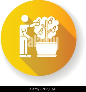 Collecte de fruits à partir d'un mini-arbre d'agrumes orange plat conception longue ombre glyphe icône. Entretien de l'arbre orange miniature. Usine florissante. Fructification Illustration de Vecteur