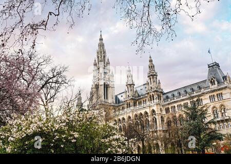 Édifice gothique de Vienne, monument historique Hôtel de ville ou en allemand : Wiener Rathaus au début du printemps. Banque D'Images