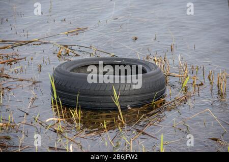 Vieux pneu de voiture en caoutchouc noir abondoné dans l'eau Banque D'Images