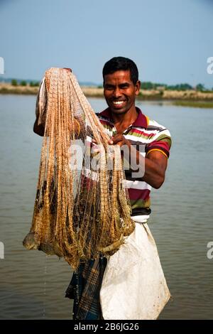 La crevette et la crevette ont appelé l'or blanc pour l'économie bangladaise. Il s'agit également d'une technologie respectueuse de l'environnement et d'un excellent moyen de lutter contre le changement climatique. Banque D'Images