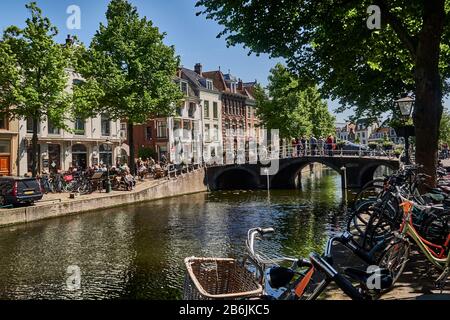 Ville de Leiden, province de Hollande-Méridionale, Pays-Bas, Europe, les gens se détendent le long du canal néerlandais Rapenburg dans le cénče historique de Leiden., la citde Leiden est connue pour son architecture laïque, ses canaux, son université de 1590, le nativitde Rembrand, La ville où a fleuri le premier bulde tulipe en Europe au XVIe siècle Banque D'Images