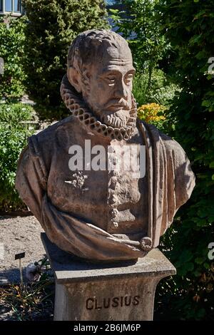 Ville de Leiden, province de Hollande-Méridionale, Pays-Bas, Europe- Busade Carolus Clusius (1526-1609) créatodu Hortus botanicus Leiden est le plus ancien jardin botanique des Pays-Bas. Le jardin Clusius donne une impressiode ce que l'Hortus était autour de 1600 la plus ancienne sectiode l'Hortus, datant de 1590, la cité de Leiden est connue pour son architecture laïque, ses canaux, son université de 1590, le nativitde Rembrand, La ville où a fleuri le premier bulde tulipe en Europe au XVIe siècle Banque D'Images