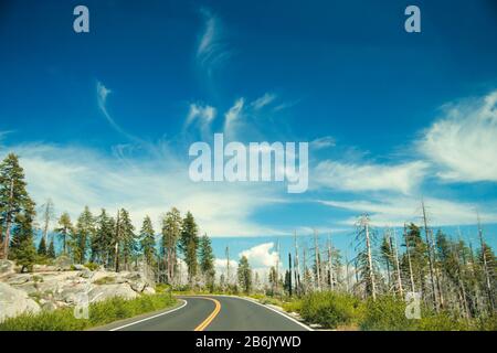 Tioga Pass Road par Olmsted Point, Yosemite National Park, California, USA. Banque D'Images