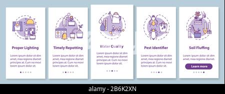 L'écran de la page des applications mobiles d'intégration des plantes ménagères avec des concepts. Éclairage correct. La floriculture passe par cinq étapes d'instructions graphiques. INTERFACE UTILISATEUR Illustration de Vecteur